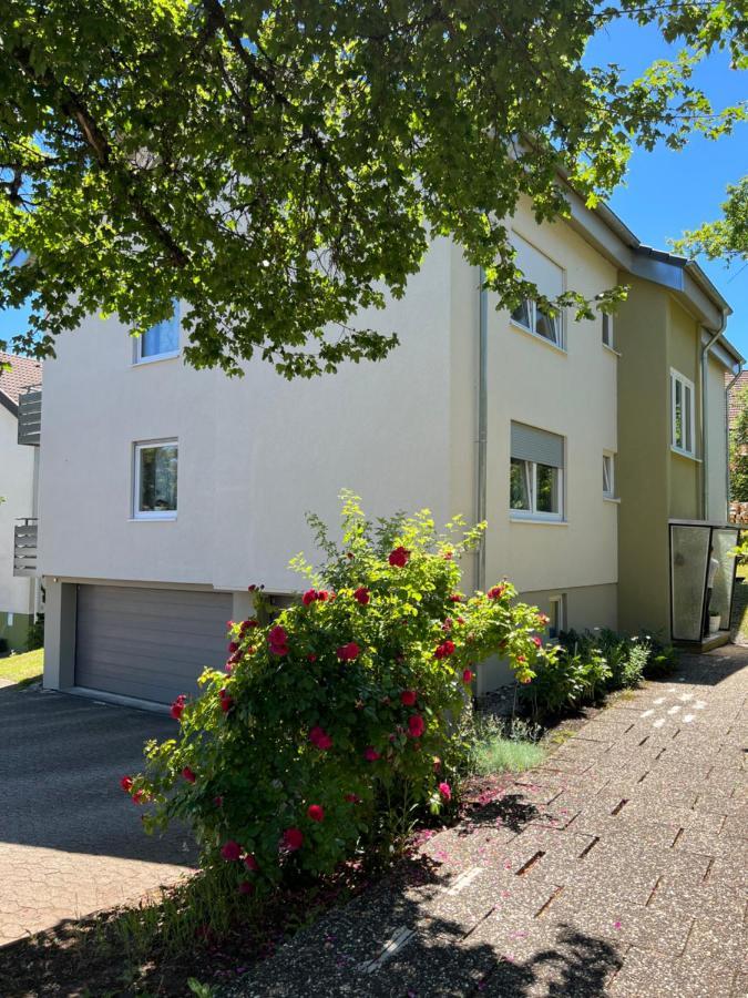 Schwarzwald Appartement Steffanie Freudenstadt Exteriör bild
